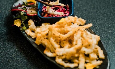 Authentic Japanese Takeaway At Your Fingertips At Gin & Sake, Bridgend